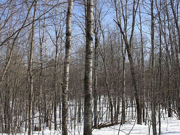 3rd image of On West Rapids Road