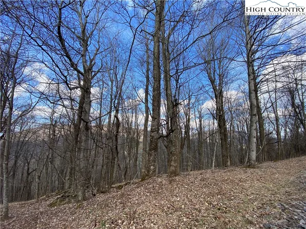 Lot 18 Doe Ridge Drive, West Jefferson, NC 28694