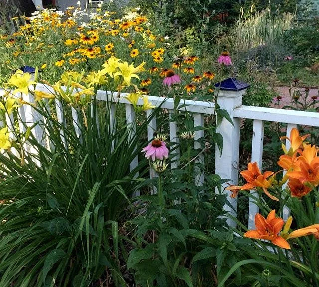 Front of Property Gardens