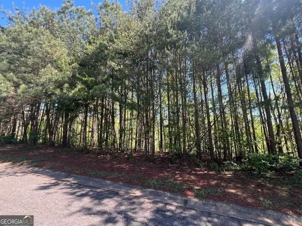922 Whistler Ln Lot 67, Canton, GA 30114