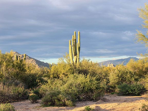5th image of 6800 E Calle De Las Estrellas Lot 0