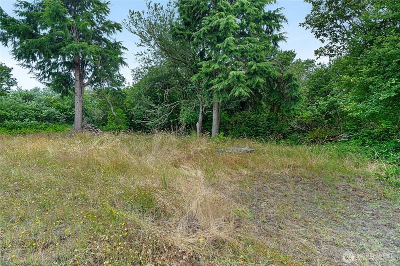 2nd image of 521 Point Brown Avenue SW