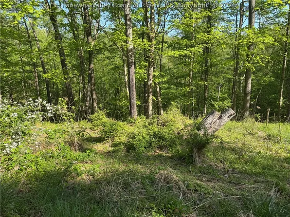 0 Woodfield Ln, Charleston, WV 25314