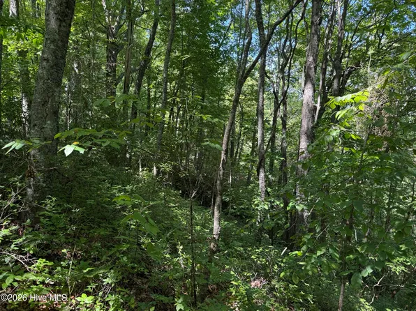 Lot 2 Amber Lane, Topton, NC 28781