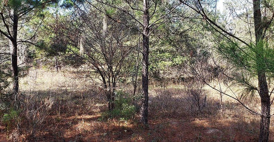 2nd image of 1684 SE Hwy 349