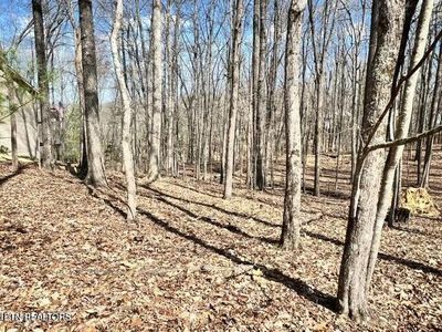 120 Pineridge Loop, Crossville, TN, 38558