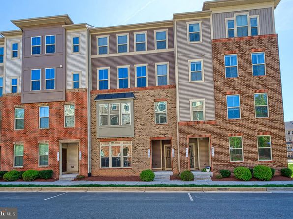 41440 Black Cherry Ter, Aldie, VA 20105