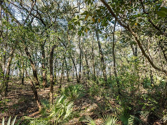 5th image of 18 Nicole Forest Dr