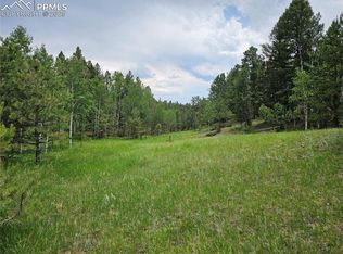 1694 County Road 512, Divide, CO 80814