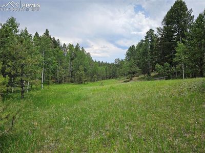 1694 County Road 512, Divide, CO, 80814