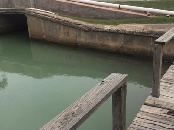 5th image of 820 W Oyster Dr
