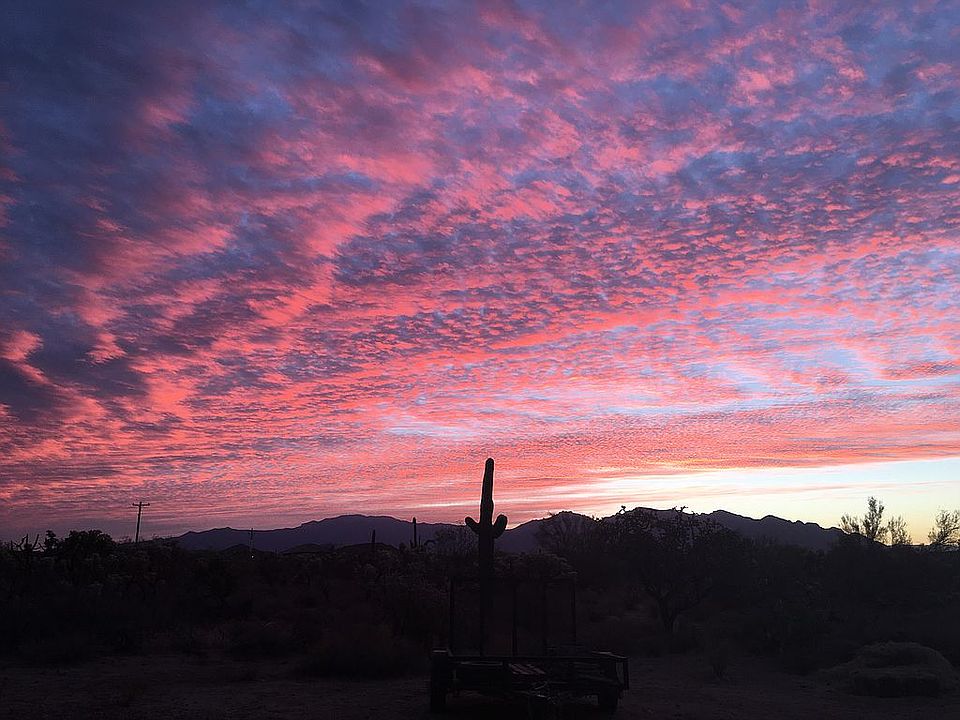Sunrise from the front yard!
