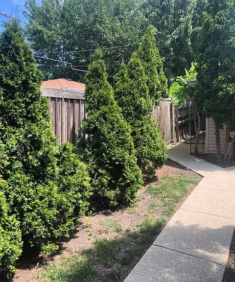5425 S McVicker Ave #1 — Photo 6
