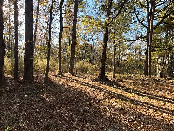 3rd image of 0 Oak Ln
