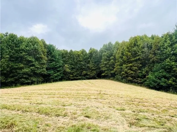 TBD Topia Road, Piney Creek, NC 28663