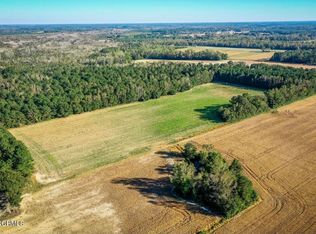 1060 Near Porter Swamp Rd, Cerro Gordo, NC 28430