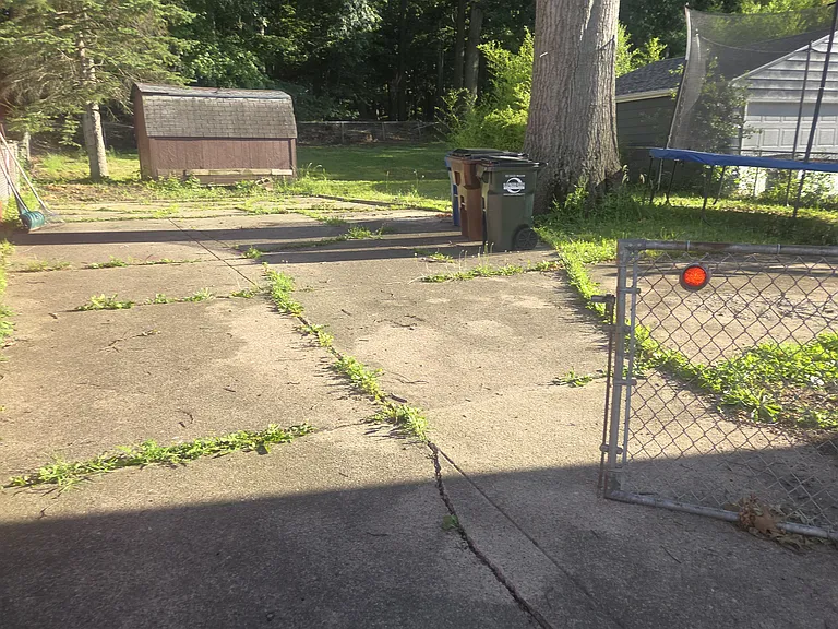 4407 Longwood Ave — Photo 10