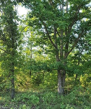 2nd image of 000 County Road 2710