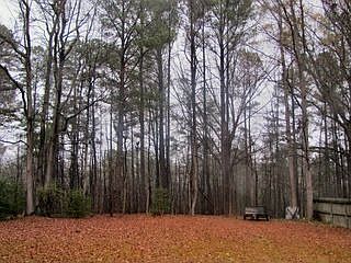 2nd image of 919 Willow Vista Rd
