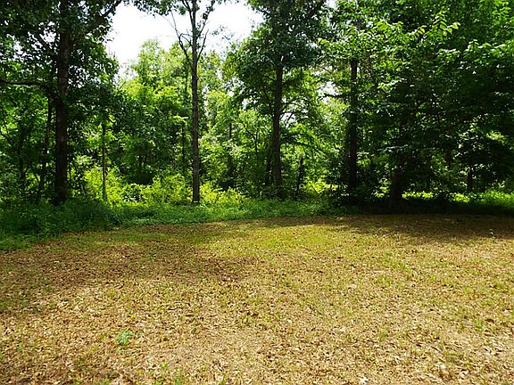 Fully Wooded and ready explore just past your cleared backyard space