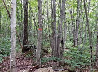 159 Mouse Ln, Alfred, ME 04002