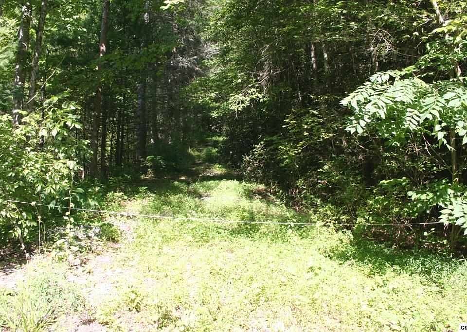 1st image of 3929 Birds Creek Rd Lot 0