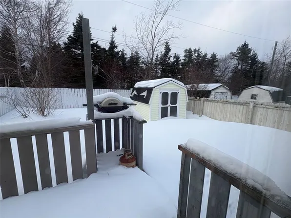 20 Lobelia Street, St John's, NL A1B4S4