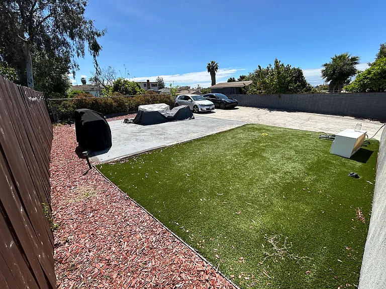 Backyard turf