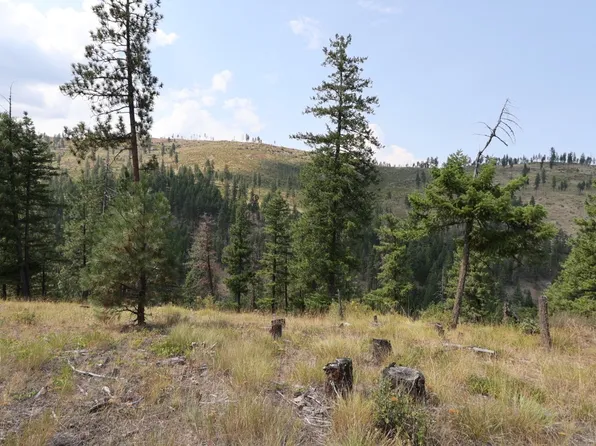 Nhn Tract 1c E Fork Combest Creek Rd, Plains, MT 59859