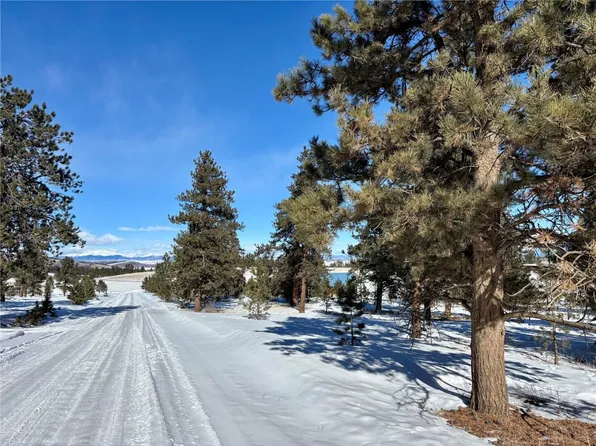 Tbd Singletree Rd, Buena Vista, CO 81211