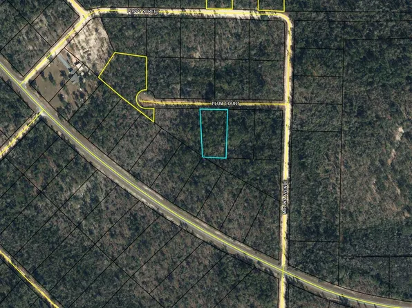21 Plum Ct, Marianna, FL 32448