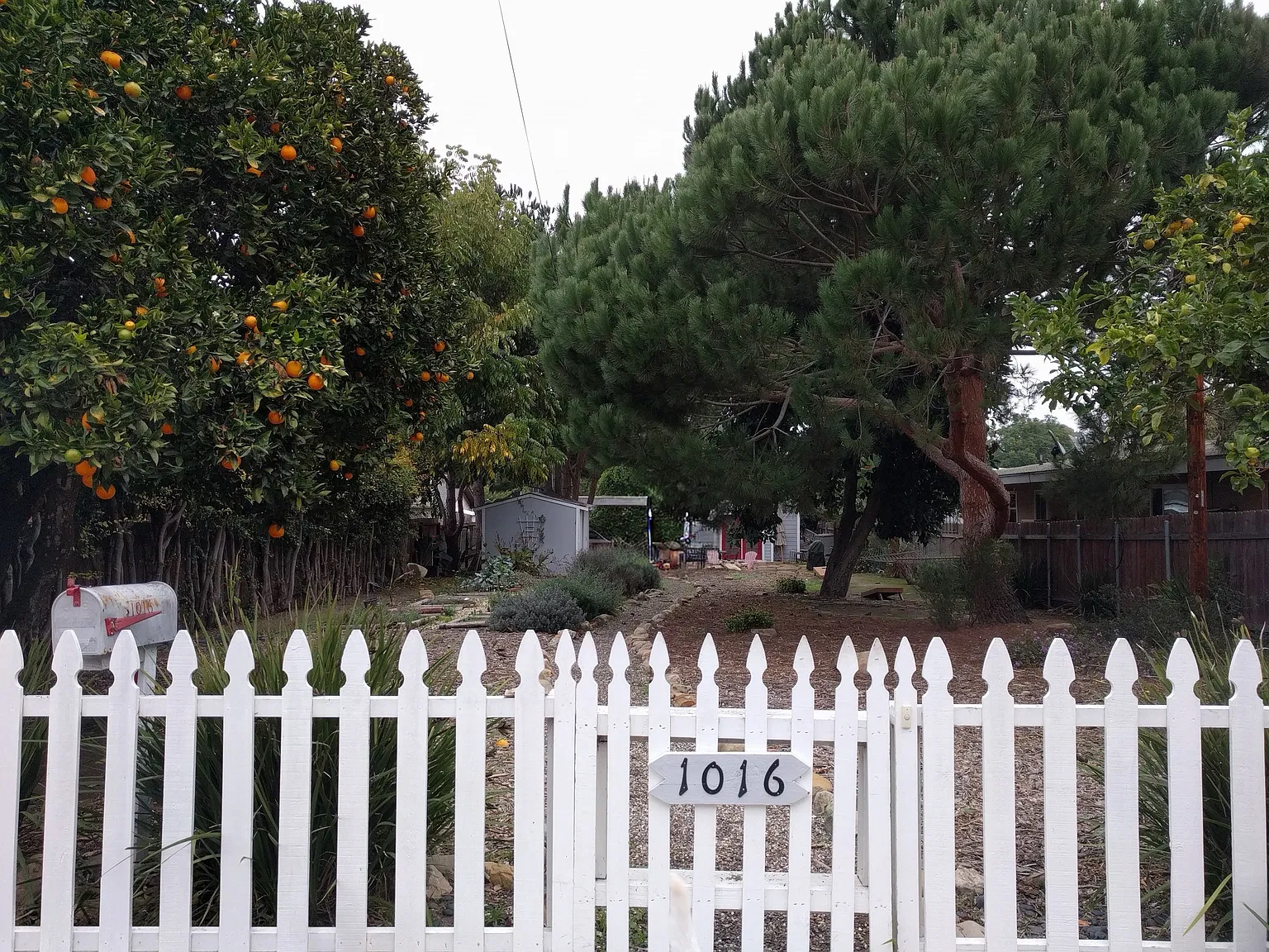 1 bed, 1.5 bath, 800 sqft, $3,900 — Photo 2