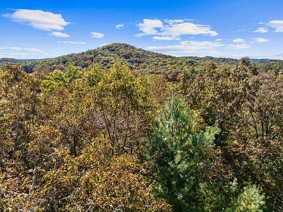 4th image of LOT 12 Hillbilly Holler 12