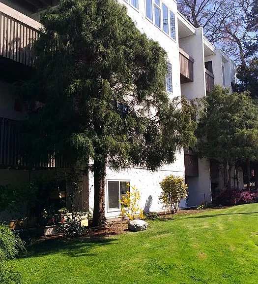 110 Pandora Ave #209 — Photo 9