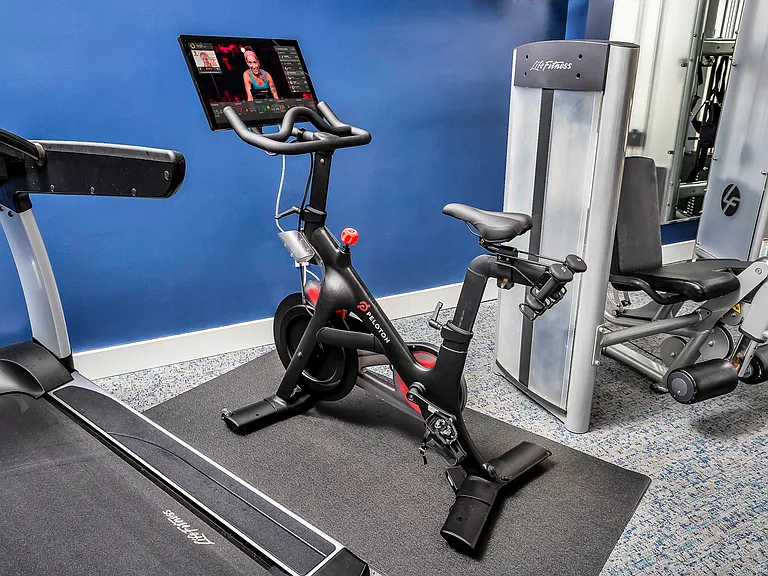 Peloton Indoor Exercise Bike with Online Streaming Classes