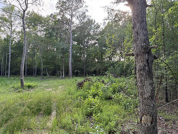 4th image of E Capps Rd