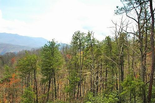 1st image of Mountain Dr