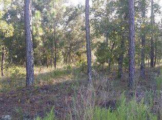 Snow Goose Ave, Weeki wachee, FL 34614