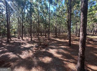 0 Dickey Rd, Sylvania, GA 30467