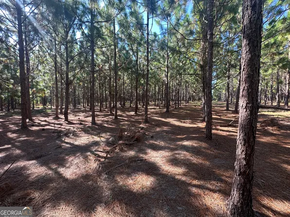 0 Dickey Rd, Sylvania, GA 30467