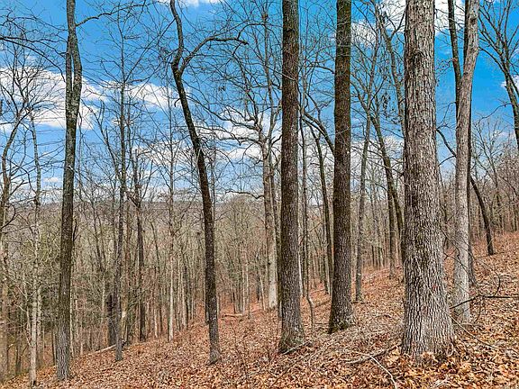 4th image of 21 Ridgefield Cv