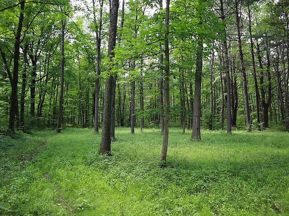 5th image of 0 Sacandaga Rd