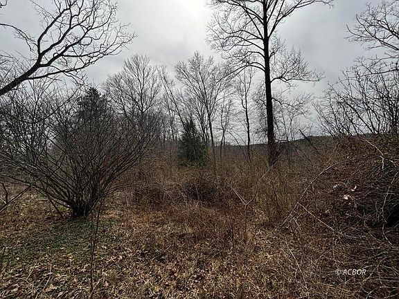 2nd image of 799 Woodruff Rd