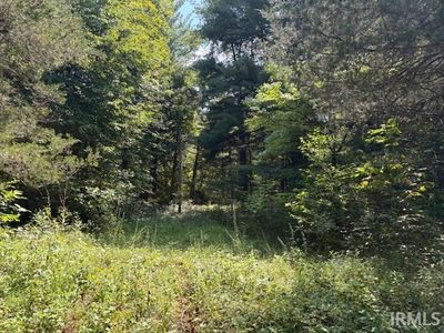 7870 Panhandle Rd, Shoals, IN, 47581