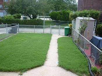 Great backyard...could also make a parking pad.