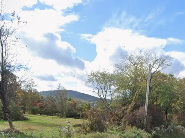 Willow Tree Rd, Milton, NY 12547