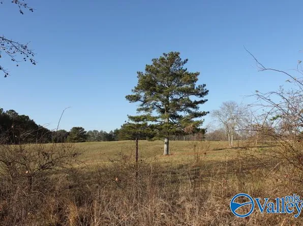 County Road 27, Sylvania, AL 35988