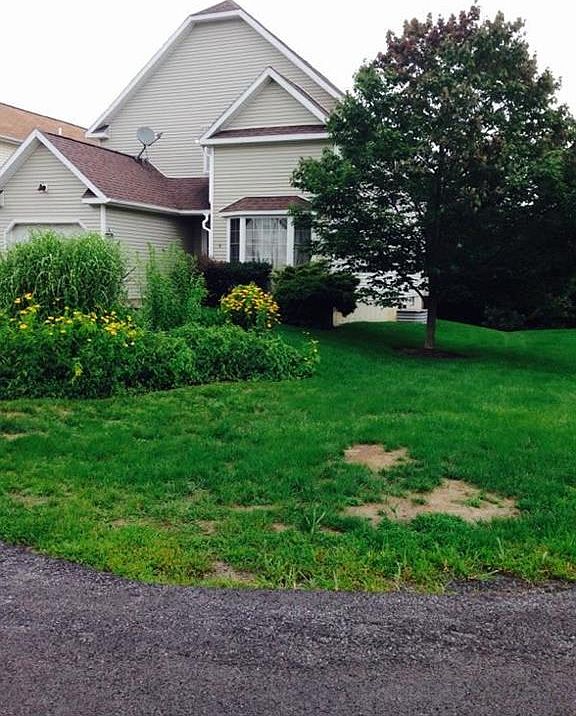 1st image of 16 Cannon Ct