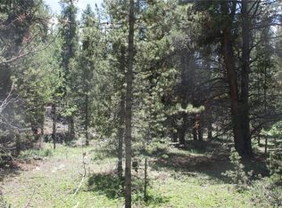 762 Venture Rd, Fairplay, CO 80440