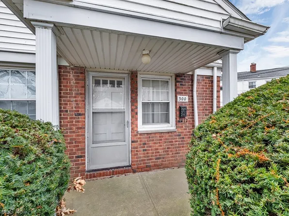300 E 235th St, Euclid, OH 44123
